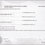 Certificat Maggie